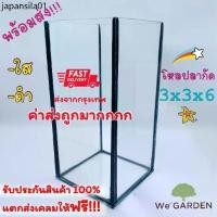 ราคา ✳โหลปลากัดขนาด 3x3x6 3x3x7 นิ้ว ตู้ปลา ตู้ปลาขนาดเล็ก ปลากัด✹ (1731556756355319609)