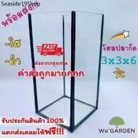 ราคา ♚โหลปลากัดขนาด 3x3x6 3x3x7 นิ้ว ตู้ปลา ตู้ปลาขนาดเล็ก ปลากัด※ (1731557330969790058)