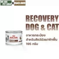 ราคา Royal Canin Vet Recovery อาหารสัตว์ป่วย พักฟื้น สุนัข/แมว ขนาด 195 กรัม/กระป๋อง (1731942477713016046)
