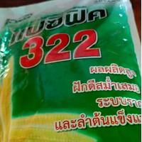 ราคา เมล็ดข้าวโพดฝักอ่อน 322 ถุง 5 กิโลกรัม ฝักดีสม่ำเสมอ ระบบรากและลำต้นแข็งแรง (1731022971229932214)