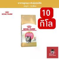 ราคา [ถุง10kg] เครดิตเงินคืน 100 บาท Royal​ canin ฺKITTEN PERSIAN อาหารลูกแมวเปอร์เซีย ถุง 10 กิโลกรัม (1731289222278253327)