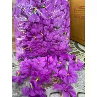 ราคา ดอกลีลาวดี ( หัวดอกลีลาวดีสีม่วง 1ถุง 500ดอก ) มีรูร้อยง่าย ดอกใหญ่6.5 CM. ใช้ร้อยมาลัย ตกแต่ง สงกรานต์ ฮาวาย สปอตสินค้า (1732041318497158198)
