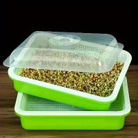 ราคา ถาดงอก, 5 ชุด, ถาดเจริญเติบโตเมล็ด, Hydroponic Sprouter เมล็ด, เหมาะสำหรับถั่ว, ถั่วเขียว, ถั่วลิสง, ข้าวสาลี, หญ้าชนิดหนึ่ง, พร้อมฝาปิด ที่ กันชื้น ใส่ กระปุกออมสิน bin ดับ กลิ่ (1732478985122645437)