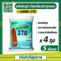 ราคา เมล็ดพันธุ์ข้าวโพดเลี้ยงสัตว์ลูกผสม ตราแปซิฟิค278 ขนาด 3.5 หุน (ยกลัง 5กก.x4 ถุง) ( ข้าวโพด เมล็ดพืช พงษ์เกษตรอุตรดิตถ์ (1731858007600760817)