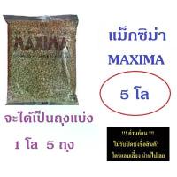 ราคา อาหารแมว maxima (แม็กซิม่า) 5 กิโลกรัม (ได้ถุงแบ่ง 1 โล 5 ถุง) เมล็ด ข้าวสาลี แมว เปียก เชอร์แมน ส่ง ฟรี (1732415593372747676)