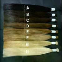 ราคา ผมแท้ 100% คัดคุณภาพ ปลายหนา ต่อได้ถึง 5-6 ชั้น **ผม 1 มัด สามารถนำไปทำช่อกิ๊บจะได้ 100-120 ช่อ (1729627204365683596)