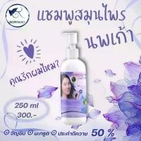 ราคา แชมพูสมุนไพรนพเก้า ขจัดรังแค ดูแลหนังศรีษะ ออร์แกนิค ผมหงอก บำรุง ผม ถนอมเส้นผม (1730115034166954784)