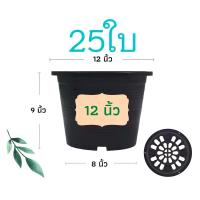 ราคา กระถางต้นไม้ 12 นิ้ว 25ใบ กระถางต้นไม้พลาสติก กระถางแคตตัส กระถาง สีดำ (1732161526454979507)