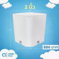 ราคา กระถาง กระถางแคคตัส กระถางสี่เหลี่ยม 2 นิ้ว สีขาว 1000 ใบ ชิ้น อัน (1732673727272814282)