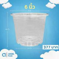ราคา กระถาง กระถางต้นไม้ กระถางใส เบอร์ 6 นิ้ว สีใส 50 ใบ ชิ้น ยกมัด ยึดรูปแบบเดียวกัน (1732594338766095486)