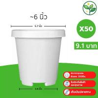 ราคา กระถาง กระถางต้นไม้ กระถางทรงสูงขอบพับ เบอร์ 6 นิ้ว สีขาว 50 ใบ ชิ้น อัน สินค้าแนะนำ (1731446201731024245)