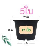 ราคา กระถางต้นไม้ 17 นิ้ว 5 ใบ กระถางต้นไม้พลาสติก กระถาง กระถางแคตตัส กระถางพลาสติก สีดำ สีขาว ราคาส่ง (1731977151378655975)