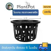 ราคา กระถาง กระถางกล้วยไม้ กระถางแขวน กลม 6 นิ้ว สีดำ 100 ใบ ชิ้น อัน แนะนำ (1731761139921945975)