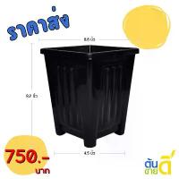 ราคา กระถาง กระถางต้นไม้ กระถางโรมันสี่เหลี่ยม ขนาด เบอร์ 7 6.5 นิ้ว สีดำ 50 ใบ ชิ้น อัน COD (1732625883182040875)