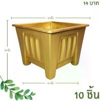 ราคา กระถาง กระถางต้นไม้ กระถางสี่เหลี่ยม ขนาด เบอร์ 7 6.9 นิ้ว สีทอง 10 ใบ ชิ้น อัน แนะนำ (1731714206710269066)