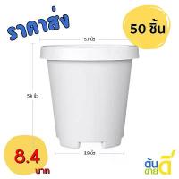 ราคา กระถาง กระถางต้นไม้ กระถางทรงสูงขอบพับ เบอร์ 6 นิ้ว สีขาว 50 ใบ ชิ้น อัน (1732301245532767925)
