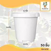 ราคา กระถาง กระถางต้นไม้ กระถางทรงสูงขอบพับ เบอร์ 6 นิ้ว สีขาว 50 ใบ ชิ้น อัน สวัสดิการสด (1732613602441069646)