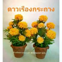 ราคา [พร้อมส่ง] ดาวเรืองกระถางบูชา ดาวเรืองประดิษฐ์ ดอกไม้ตั้งโต๊ะ​หมู่ ตั้ง​หิ้ง​พระ​ ดาวเรืองปลอม ขายเป็นคู่ ดอกเบญจมาศ (2 กระถาง) (1732485177630491814)