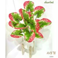 ราคา ต้นเพิ่มทรัพย์ +กระถาง +ขาไม้สนนอก (รุ่นสูง 1 เมตร) **มีโฟมและหินขาวในชุด** l ต้นไม้ปลอมพร้อมกระถางและขาไม้สน (1730207031908796868)