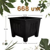 ราคา กระถาง กระถางต้นไม้ กระถางสี่เหลี่ยม ขนาด เบอร์ 7 6.9 นิ้ว สีดำ 50 ใบ ชิ้น อัน คลังสินค้า (1732375927775921587)