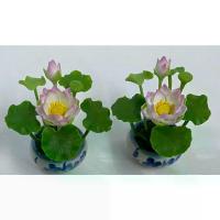 ราคา COD ดอกบัวจิ๋ว สีขาว ปลายกลีบสีชมพู กระถางเซรามิค (แบบคู่ 2 กระถาง) (1732211460306930449)