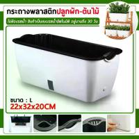 ราคา กระถางต้นไม้ กระถางรดน้ำอัตโนมัติ ไม่ต้องรดน้ำนานถึง 30วัน กระถางพลาสติก กระถางปลูกผัก กระถาง กระถางต้นไม้สีขาว (1731154724463610727)