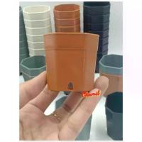 ราคา กระถางต้นไม้ 2 นิ้ว เซท 100 ใบ(8 เหลี่ยม) กระถางต้นไม้พลาสติก กระถางแคนตัส สีดำ สีขาว สีส้มอิฐ สีเทากระถางต้นไม้ กระถาง กระถางพลาสติก 8" สีอิฐ (1731681061171333453)