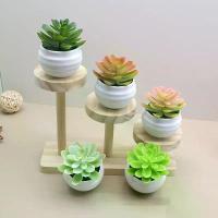 ราคา พืชอวบน้ำประดิษฐ์, กระถาง, การรวมกันของพืชปลอม, พืชสีเขียว, ชุดกระถางดอกไม้อวบน้ำ, ตกแต่งโต๊ะสำนักงาน เครื่อง พ่อ แพวัด พิกุล ทอง ซื้อ ปู่ หลวง พระปิดตา หลวงปู่ (1732076987381286379)