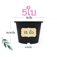 ราคา [ส่งฟรี] กระถางต้นไม้ 15 นิ้ว 5 ใบ กระถางต้นไม้พลาสติก กระถาง กระถางแคตตัส กระถางพลาสติก สีดำ สีขาว ราคาส่ง (1731771879581976526)