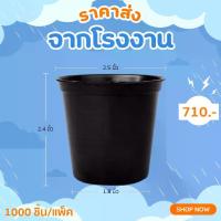 ราคา กระถาง กระถางต้นไม้ กระถางพลาสติก เบอร์ 2 2.5 นิ้ว สีดำ 1000 ใบ ยกมัด ยกกระสอบ (1730233552599092184)
