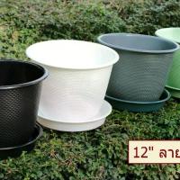 ราคา กระถาง 12" ลายสานถ้วยจีน + จานรองน้ำ (1732359682479720226)