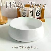 ราคา กระถาง พร็อพปูน | Amory.t (1731067320816339415)