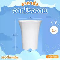 ราคา กระถาง กระถางแคคตัส กระถางปากแตร 3 นิ้ว สีขาว 300 ใบ ชิ้น อัน (1731442568424033240)