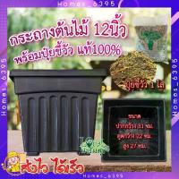 ราคา เซ็ตกระถาง+ปุ๋ยขี้วัว ( กระถาง + ปุ๋ยขี้วัว 1โล ) ขี้วัวแท้100% กระถางพลาสติก กระถางสี่เหลี่ยม กระถางปลูกต้นไม้ HGK (1729710863877704480)