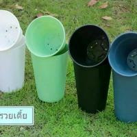 ราคา กระถาง7" รานี ทรงสวย กระทัดรัด โมเดิร์น ทำให้ต้นไม้ดูดีมีสไตล์ (1732288348907996962)