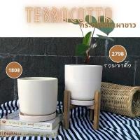ราคา กระถางต้นไม้สไตล์โมเดิร์น กระถางดินขาว กระถาง6นิ้ว พร้อมจานรอง สวย เนื้อกระถางเนียน ระบายน้ำดี ทรงกระถางสวยมากๆๆค่ะ (1729583344490220517)
