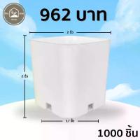 ราคา กระถาง กระถางแคคตัส กระถางสี่เหลี่ยม 2 นิ้ว สีขาว 1000 ใบ ชิ้น อัน (1731096648431208753)