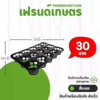ราคา กระถาง ถาดหลุม ใส่กระถางต้นไม้ ขนาด 4 นิ้ว 15 สีดำ Bundle 10 ใบ ชิ้น อัน (1731798580393248560)