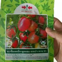 ราคา เมล็ดมะเขือเทศ มะเขือเทศ สีดา ลูกผสม เทพประทาน F1 2000 เมล็ด ตราศรแดง (1732173445056922922)
