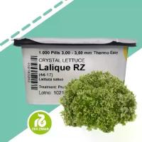 ราคา เมล็ดฟิลเลย์ ไอซ์เบิร์ก Frillice Iceberg (แบบเคลือบ ซองละ 500 เมล็ด) COD (1731841876421477827)