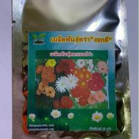 ราคา ขายส่ง เมล็ดพันธุ์เยอบีร่า คละสี Gerbera ดอกเยอบีร่า พืชเศรษฐกิจ เมล็ดพันธุ์นำเข้า ไม้ดอกไม้ประดับ ไม้จัดสวน พืชเศรษฐกิจ เมล็ดพันธุ์นำเข้า ของขวัญ 100 เมล็ด (1731535343700379403)