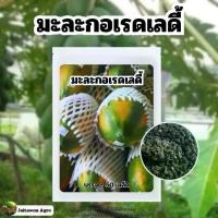 ราคา เมล็ดมะละกอเรดเลดี้ บรรจุ 50 เมล็ด กินสุกหวานอร่อยมากๆ (1730436715927603955)