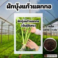 ราคา เมล็ดพันธ์ุ ผักบุ้งแก้วแตกกอ พันธ์ุพิเศษ บรรจุ 750 เมล็ด (1730815209268218291)