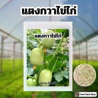 ราคา เมล็ดพันธ์ุ แตงกวาไข่ไก่ | แตงกวาขาวมินิ บรรจุ 20 เมล็ด (1730298736412625331)