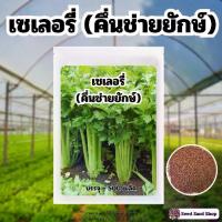 ราคา เมล็ดเซเลอรี่ หรือคึ่นช่ายยักษ์ 500 เมล็ด + คู่มือปลูก (1729977364516342195)