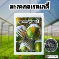 ราคา เมล็ดมะละกอเรดเลดี้ บรรจุ 50 เมล็ด กินสุกหวานอร่อยมากๆ (1729944423843531187)
