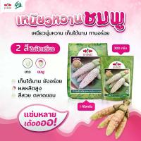 ราคา เมล็ดข้าวโพดข้าวเหนียว เหนียวหวานชมพู ตราศรแดง ขนาด5,500เมล็ด เมล็ดข้าวโพดสีชมพู เมล็ดข้าวโพด เมล็ดพันธุ์ข้าวโพด ศรแดง (1730710583214836293)