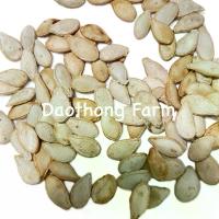 ราคา เมล็ดพันธุ์ฟักทองกระโถน ฟักทองโบราณ ฟักทองน้ำเต้า 5 กรัม ประมาณ 40 เมล็ด (1730963098395969641)