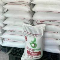 ราคา เมล็ด ถั่วแขก ธัญญาทิพย์แดง 10 กิโลกรัม (1731805886382113826)