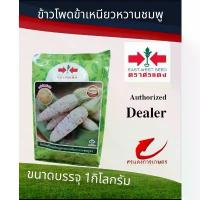 ราคา ข้าวโพดข้าวเหนียวเหนียวหวานชมพู 200กรัม 5000 เมล็ด#ข้าวโพดข้าวเหนียว #เมล็ดพันธุ์ #ตราศรแดง #ราคาถูก #เหนียวหวานชมพู COD (1732799373548881503)